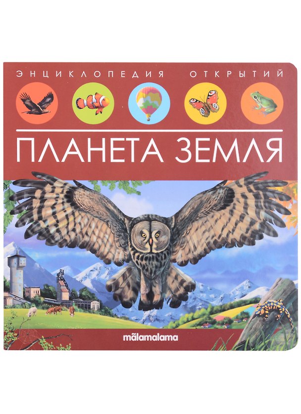 Книга Планета Земля. Книжка-панорамка () — 1