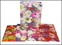 Пакет бумажный (OM-FLE) (18х23х10) (Листопадова)