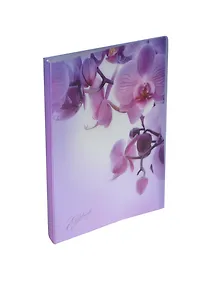 Папка 40ф А4 "Romantique" фиолетовая, Erich Krause