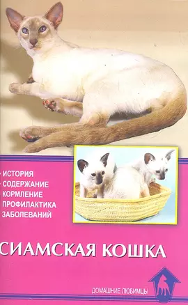 Сиамская кошка. История. Содержание. Кормление. Профилактика заболеваний — 2288449 — 1