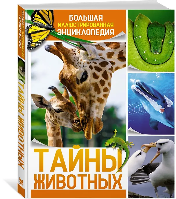 Книга Тайны животных. Большая иллюстрированная энциклопедия (Клаудио Бертонатти, Хавьер А. Перейра) — 4