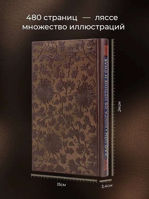 Книга Лао-цзы. Книга об истине и силе. Книга в коллекционном кожаном переплете ручной работы с тремя видами тиснения (Бронислав Виногродский) — 6