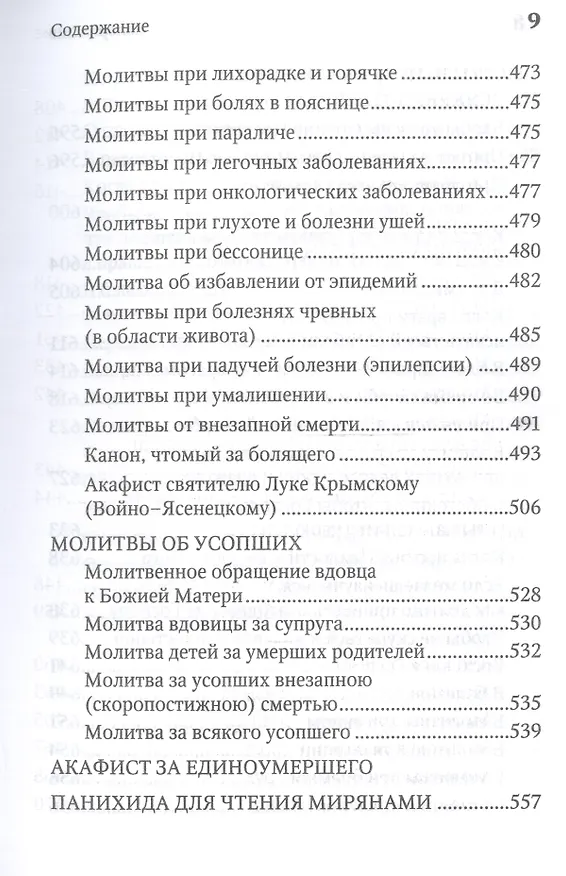 Книга Молитвенная защита православного христианина. Молитвы на всякую потребу ко Господу Иисусу Христу, Его Пречистой Матери... () — 8