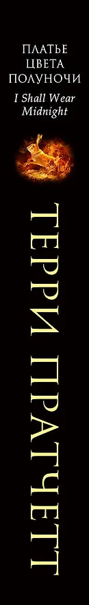Книга Платье цвета полуночи (Терри Пратчетт) — 3