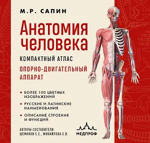 Анатомия человека. Компактный атлас. Опорно-двигательный аппарат