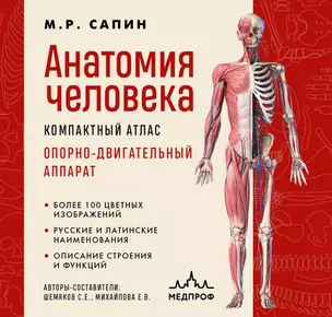 Анатомия человека. Компактный атлас. Опорно-двигательный аппарат — 3069420 — 1