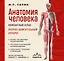 Анатомия человека. Компактный атлас. Опорно-двигательный аппарат — 3069420 — 1