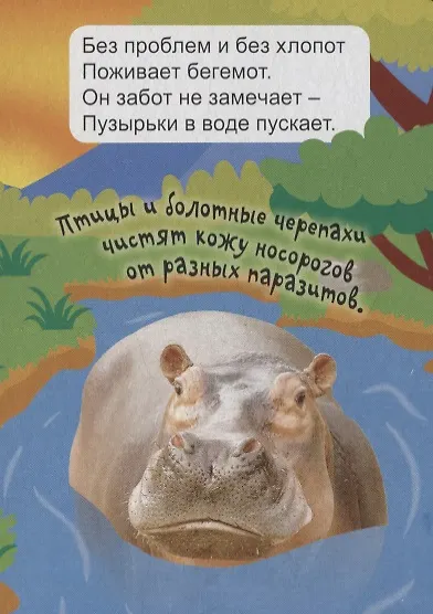Книга Экзотические животные () — 3