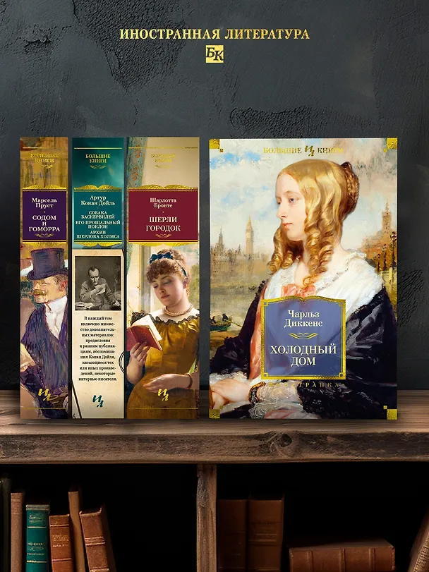 Книга Холодный дом (Чарльз Диккенс) — 8