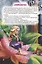 КНИГИ НА ТАТАРСКОМ. Әкиятләр дөньясы. Уймак кыз. Бүре һәм җиде кәҗә бәтие — 2956117 — 2