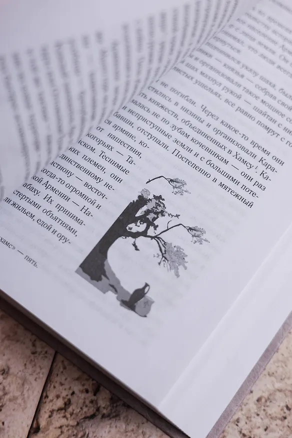 Книга С неба упали три яблока. Люди, которые всегда со мной. Зулали (Наринэ Абгарян) — 12