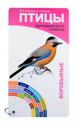 Птицы Черноморского Кавказа. Вобьиные и неворобьиные — 3058237 — 1