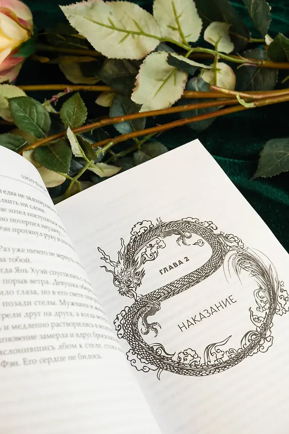 Книга Защити сердце. Книга 2 (Цзюлу Фэйсян) — 16