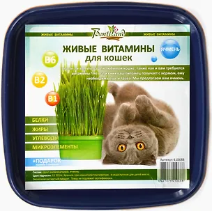 Живые витамины для кошек "Ячмень" в пластиковом лотке (410688) (19х17,4) 2371572