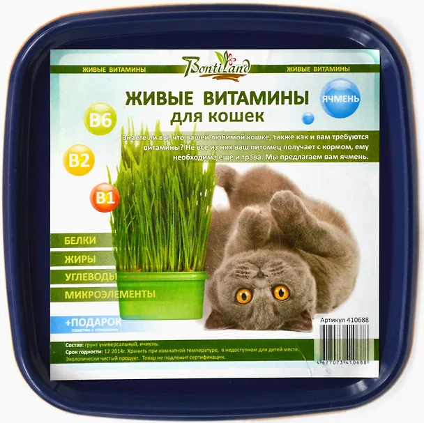 Живые витамины для кошек "Ячмень" в пластиковом лотке (410688) (19х17,4) 2371572 — 1