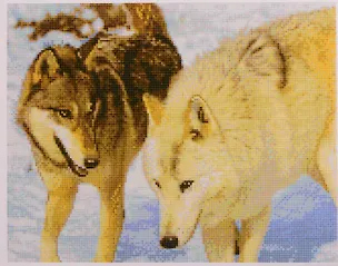 Алмазная мозаика ТМ Рыжий кот (класс.) 40х50см (25цв.) Волки в лесу AC4060 2795788