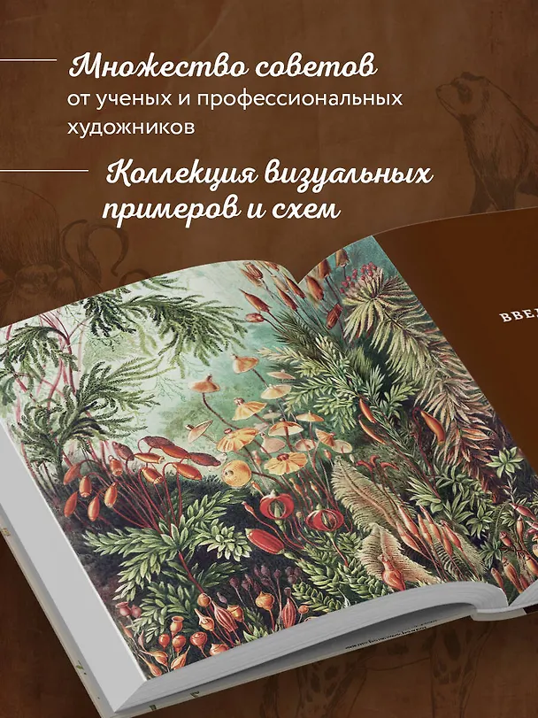 Книга Профессия — Научный иллюстратор. Руководство по иллюстрации в биологии, археологии и палеоарте () — 7