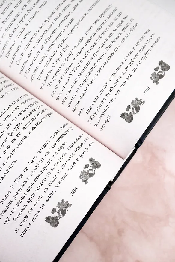 Книга Речные разбойники (Ши Лянь Хуанг) — 14