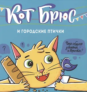 Книга Кот Брюс и городские птички (София Егорова)