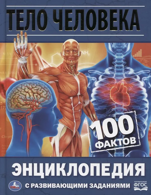 Книга Тело человека. 100 фактов. Энциклопедия с развивающими заданиями (Игорь Павлинов) — 1
