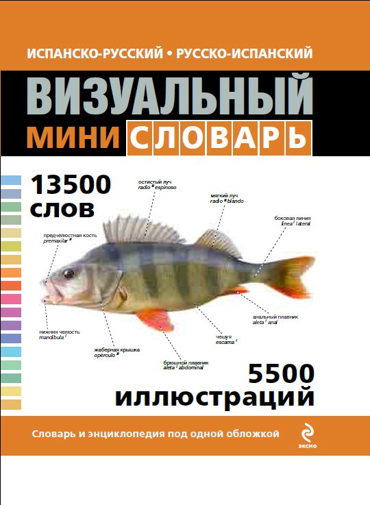 

Испанско-русский русско-испанский визуальный мини-словарь