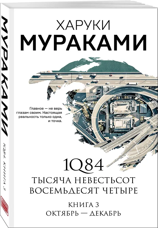 Книга 1Q84. Тысяча Невестьсот Восемьдесят Четыре. Книга 3: Октябрь-декабрь (Харуки Мураками) — 5
