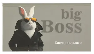 Планинг недат. 2025г. 64л 165*90 "БИГ-БОСС" карманный, тв.переплет, обл.картон, мат.ламинация, офсет