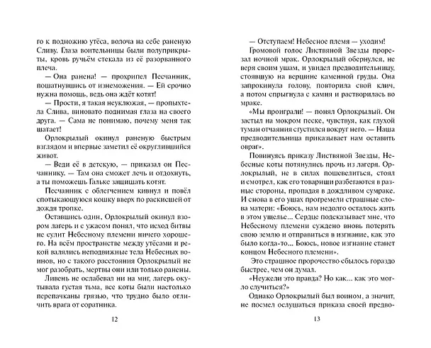 Книга Скитания (Эрин Хантер) — 6