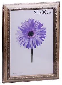 Фоторамка пластик "Daria" 21*30 старое серебро