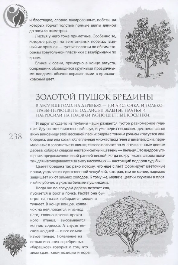 Книга Необычная жизнь обычных растений () — 9