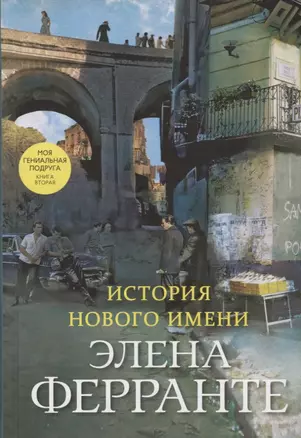 История нового имени. Моя гениальная подруга. Книга вторая. Юность — 2771793 — 1