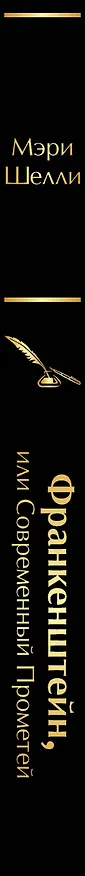 Книга Франкенштейн, или Современный Прометей (Мэри Шелли) — 3