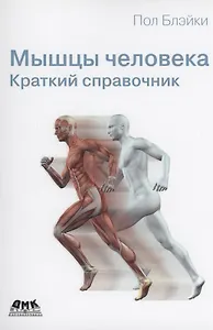 Мышцы человека. Краткий справочник