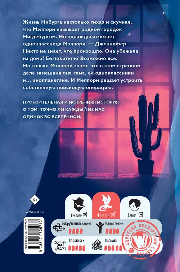 Книга Дженнифер Чан не одна (Тэй Келлер) — 2
