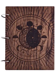 Лунный дневник