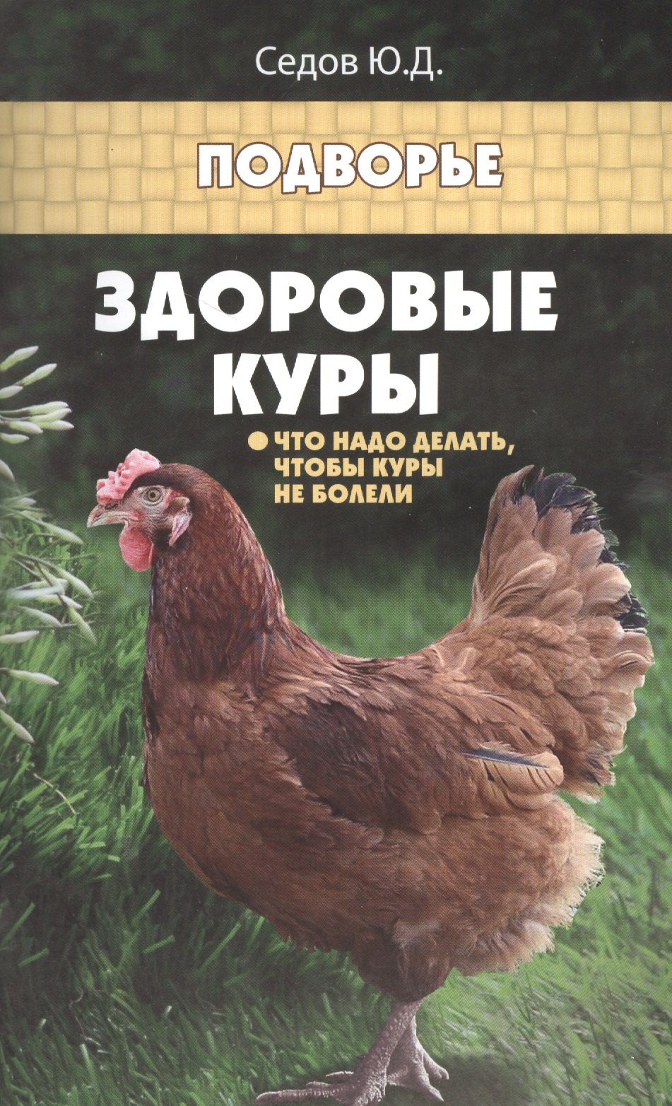

Здоровые куры:что надо делать,чтобы куры не болели