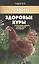 Здоровые куры:что надо делать,чтобы куры не болели — 2509649 — 1