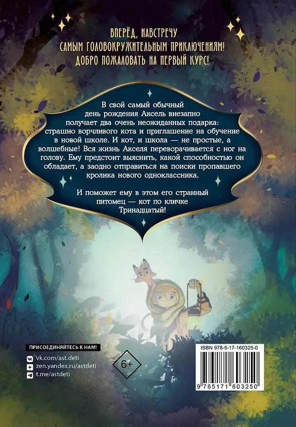 Книга Кот по кличке Тринадцатый (Сесар Мальорки) — 2