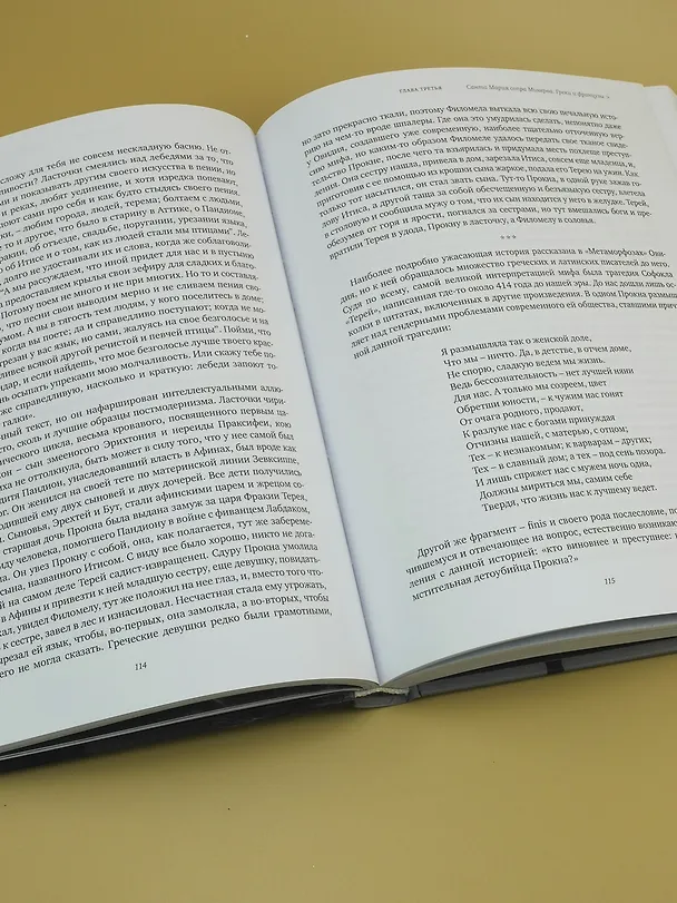 Книга Ипполитов. Последняя книга. Не только Италия (Аркадий Ипполитов) — 13