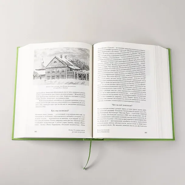 Книга [2 тома] Полка: О главных книгах русской литературы (Варвара Бабицкая, Михаил Велижев, Виктория Гендлина) — 8