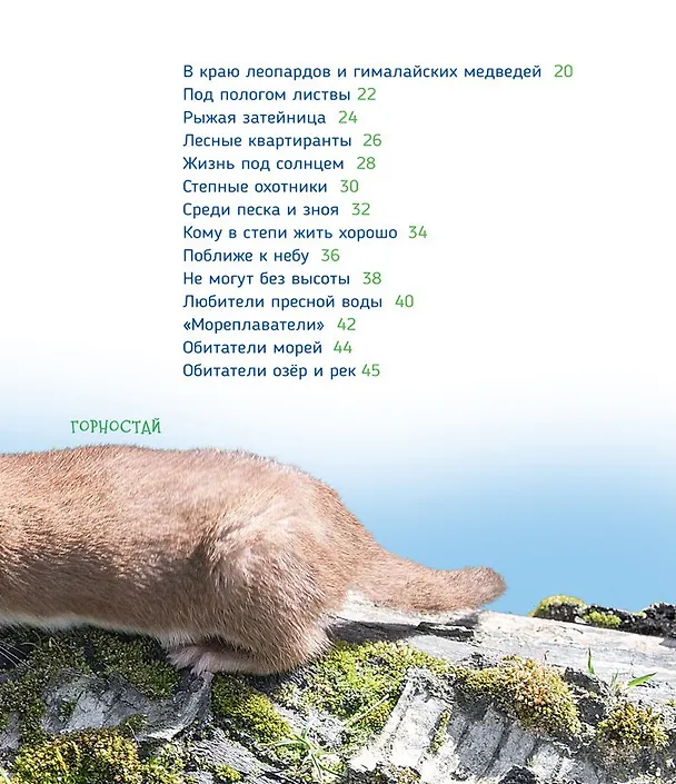Книга Животные России (Светлана Гальцева) — 3