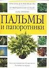 Пальмы и папоротники
