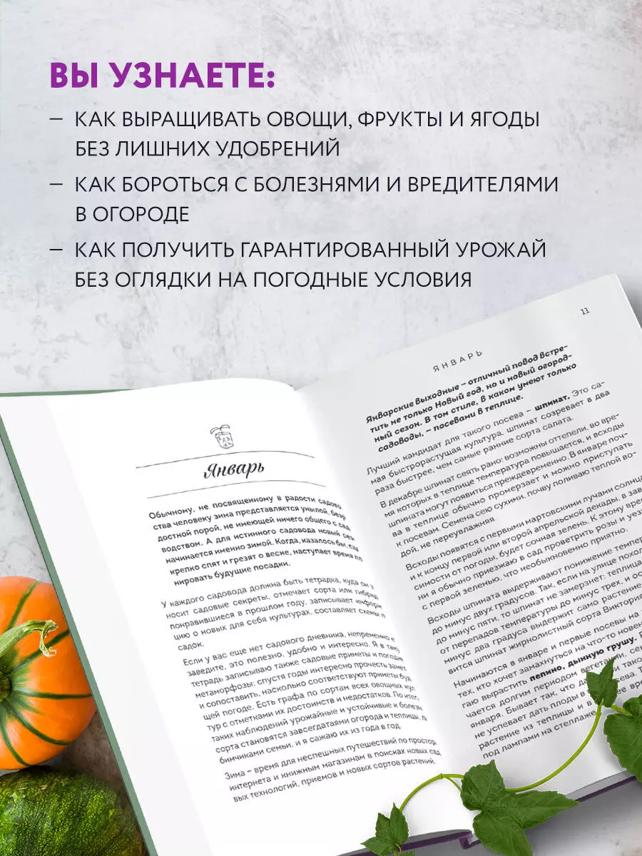 Не просто огород. Как получить южный урожай на севере (Светлана Самойлова)  - купить книгу с доставкой в интернет-магазине «Читай-город». ISBN:  978-5-04-162806-2