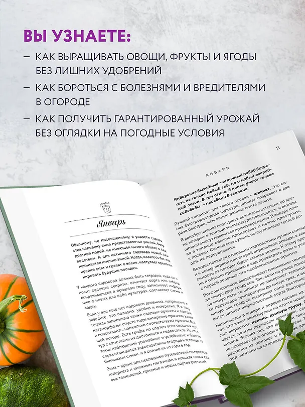 Книга Не просто огород. Как получить южный урожай на севере (Светлана Самойлова) — 7