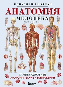 Анатомия человека. Популярный атлас. Самые подробные анатомические изображения