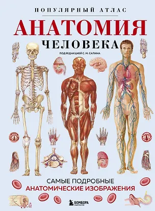 Книга Анатомия человека. Популярный атлас. Самые подробные анатомические изображения ()