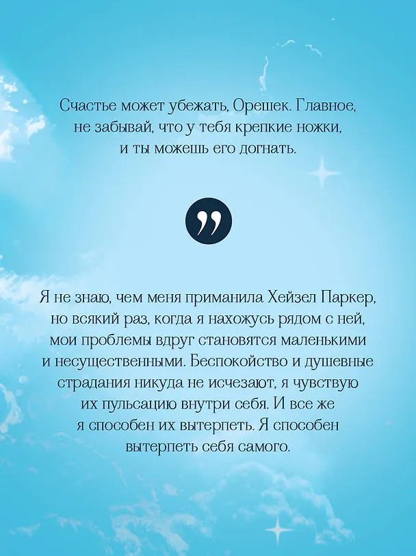 Книга Разбейся и сияй (Сара Штанкевиц) — 10