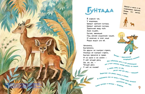 Книга Необыкновенные звери (Дарья Герасимова) — 5