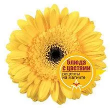 Книга Блюда с цветами: Рецепты на магните ()