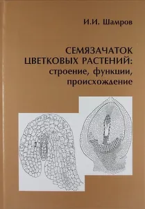 Семязачаток цветковых растений : строение, функции, происхождение.